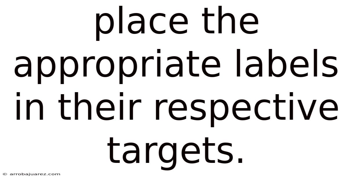 Place The Appropriate Labels In Their Respective Targets.