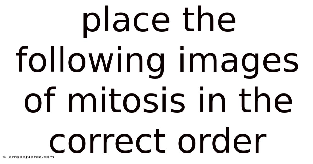 Place The Following Images Of Mitosis In The Correct Order