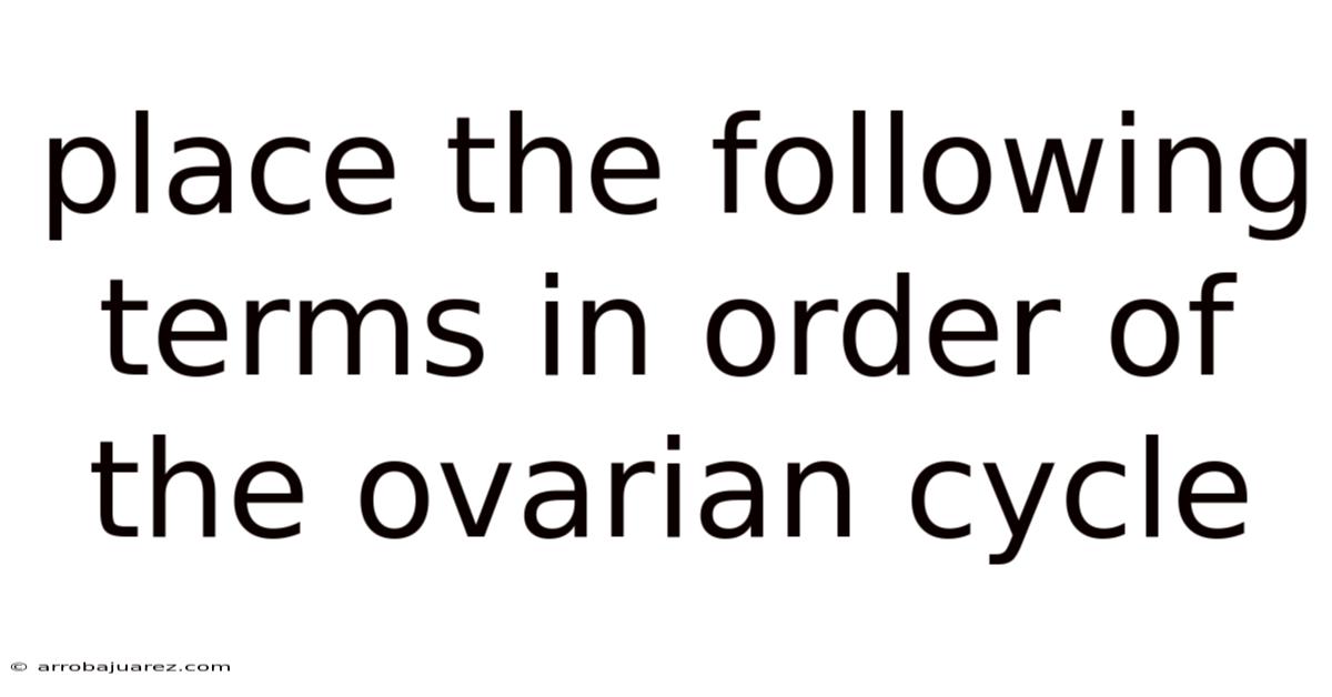 Place The Following Terms In Order Of The Ovarian Cycle