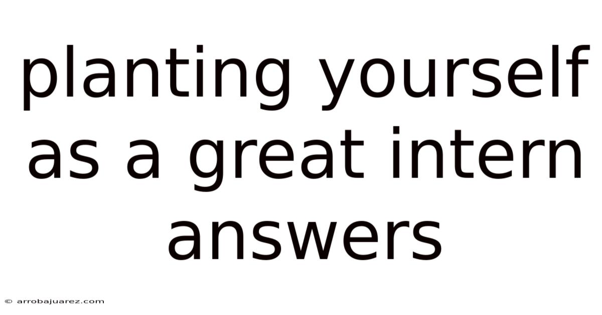Planting Yourself As A Great Intern Answers