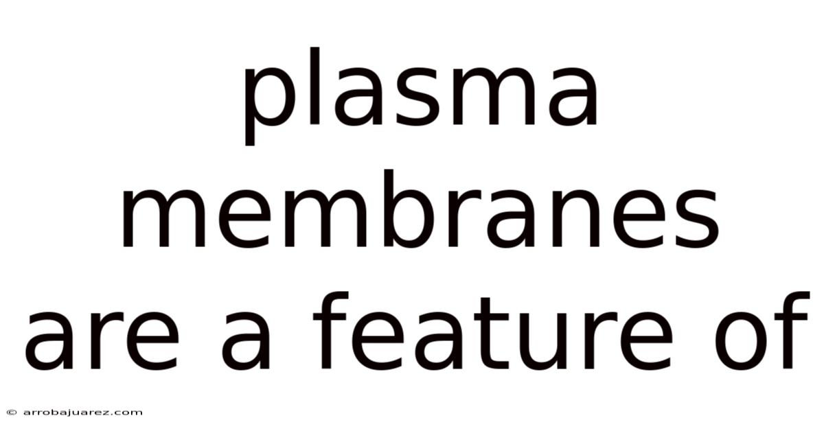 Plasma Membranes Are A Feature Of