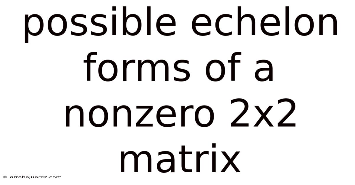 Possible Echelon Forms Of A Nonzero 2x2 Matrix