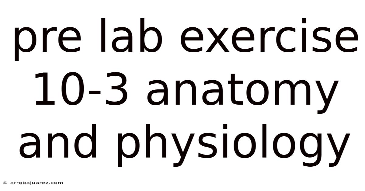 Pre Lab Exercise 10-3 Anatomy And Physiology