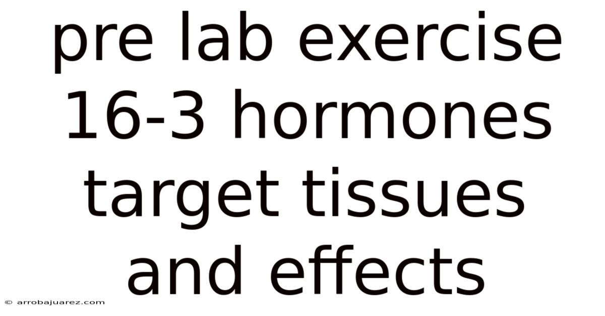 Pre Lab Exercise 16-3 Hormones Target Tissues And Effects