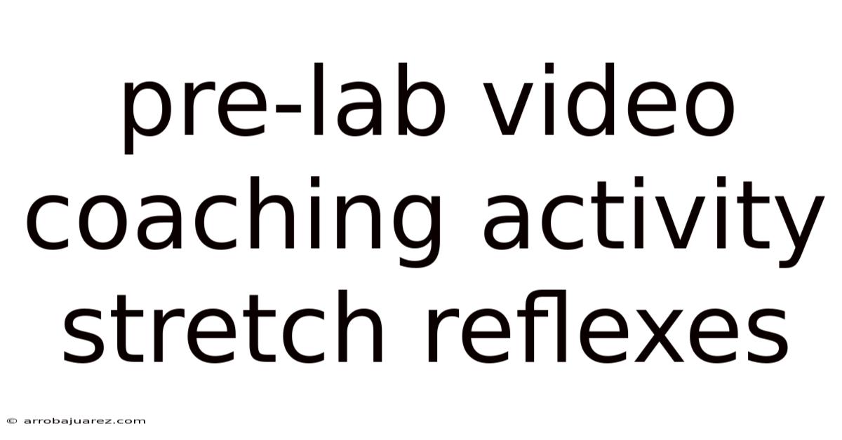 Pre-lab Video Coaching Activity Stretch Reflexes