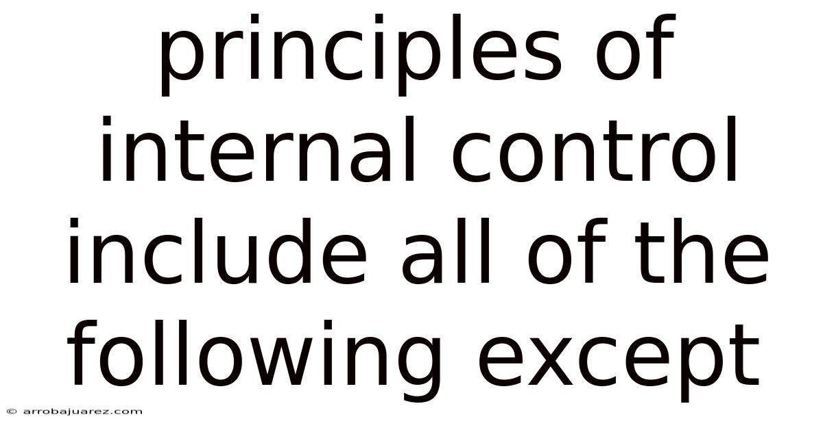 Principles Of Internal Control Include All Of The Following Except