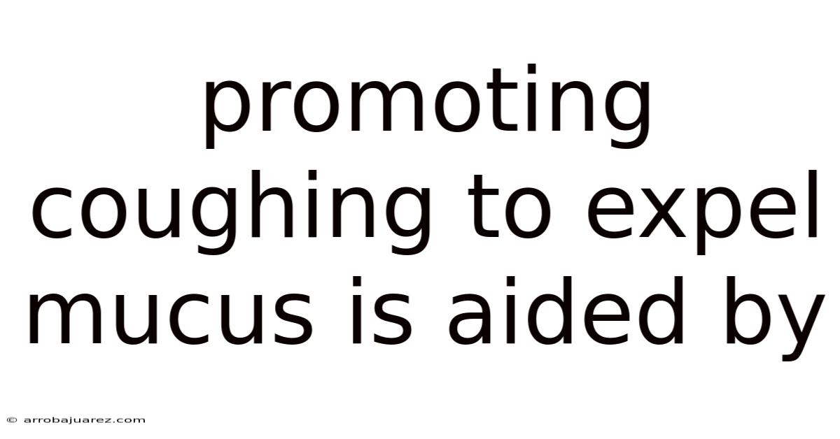 Promoting Coughing To Expel Mucus Is Aided By