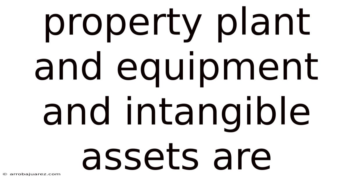 Property Plant And Equipment And Intangible Assets Are