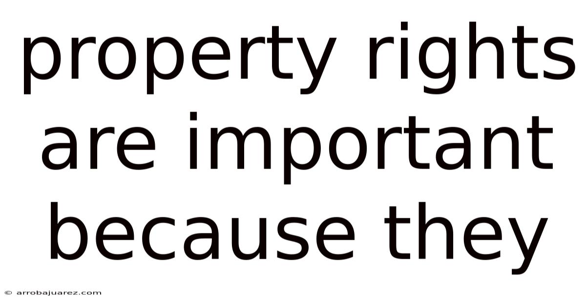 Property Rights Are Important Because They