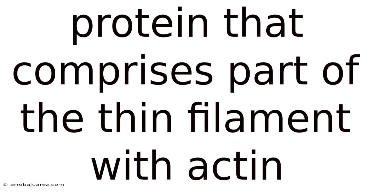 Protein That Comprises Part Of The Thin Filament With Actin