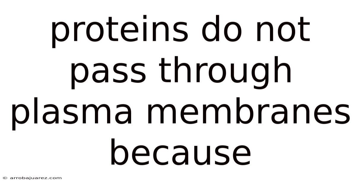 Proteins Do Not Pass Through Plasma Membranes Because