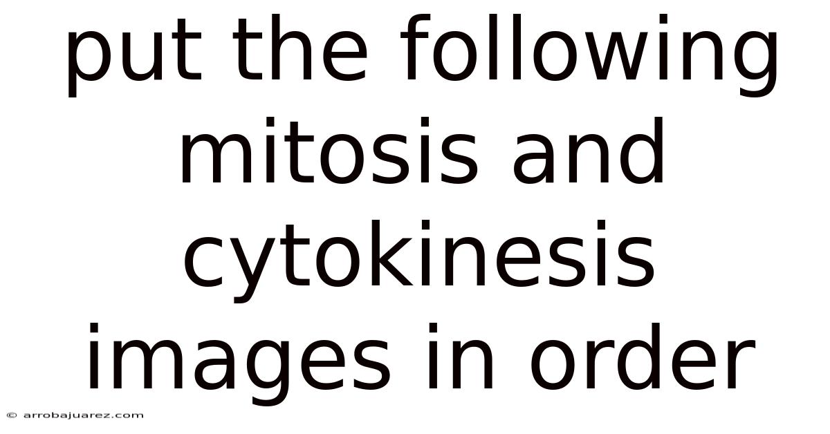 Put The Following Mitosis And Cytokinesis Images In Order