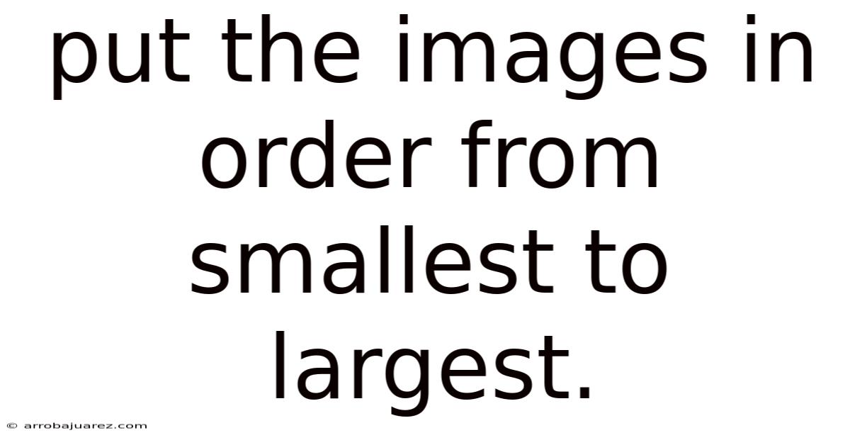 Put The Images In Order From Smallest To Largest.