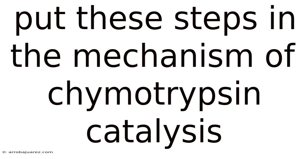 Put These Steps In The Mechanism Of Chymotrypsin Catalysis