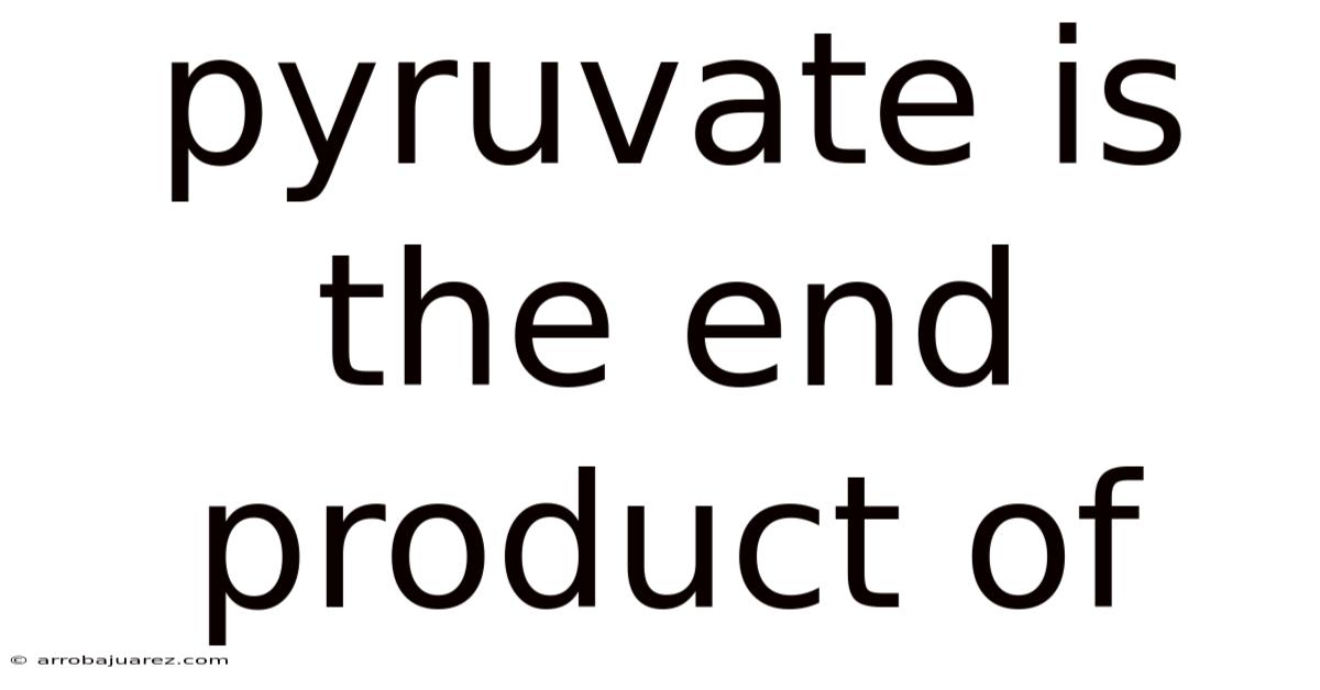 Pyruvate Is The End Product Of