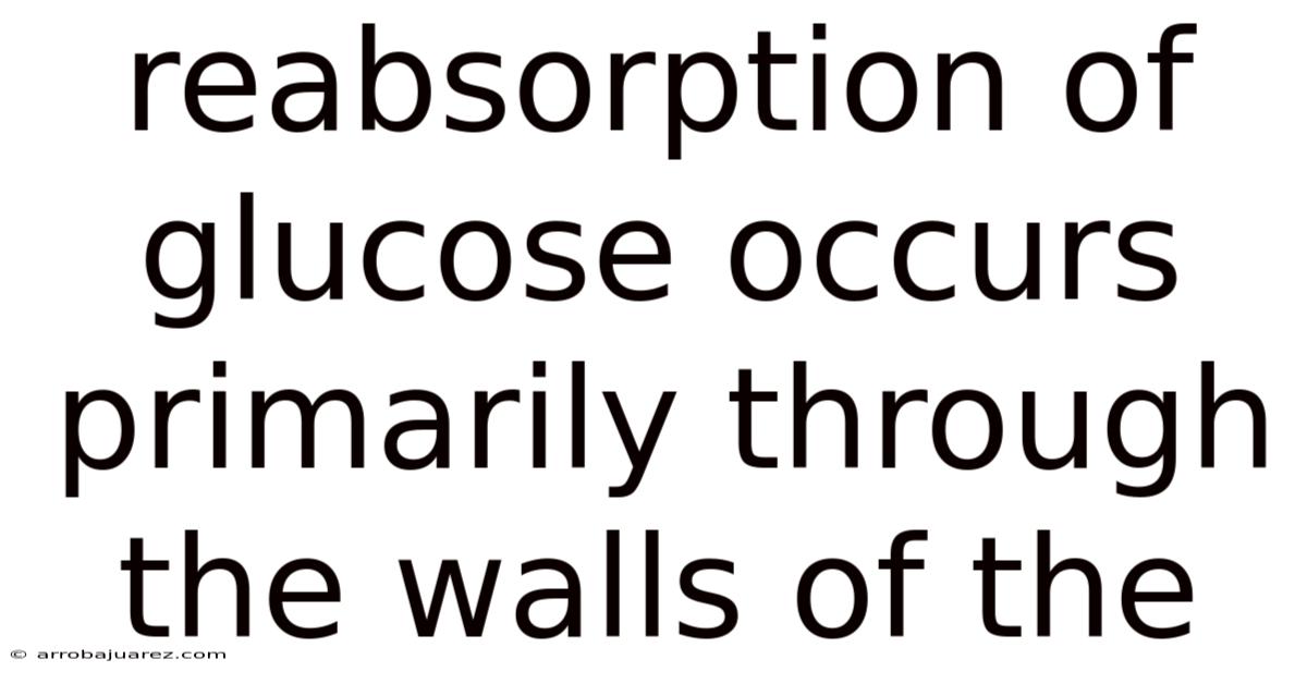 Reabsorption Of Glucose Occurs Primarily Through The Walls Of The