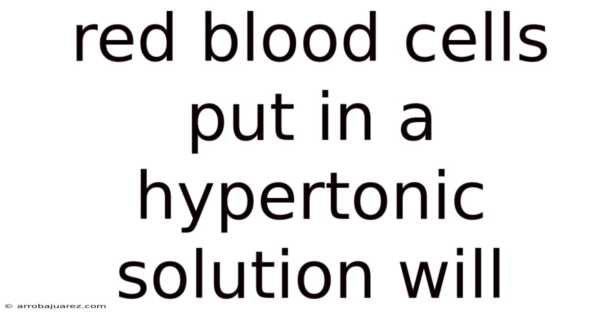 Red Blood Cells Put In A Hypertonic Solution Will