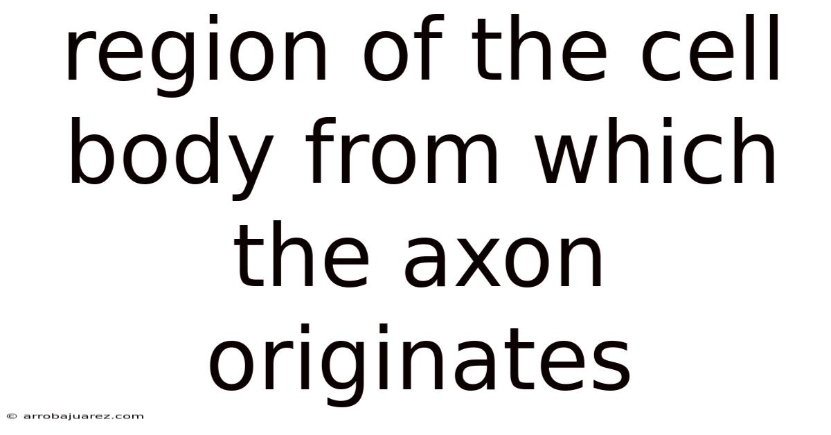 Region Of The Cell Body From Which The Axon Originates