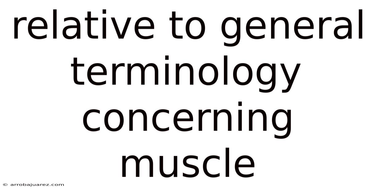 Relative To General Terminology Concerning Muscle