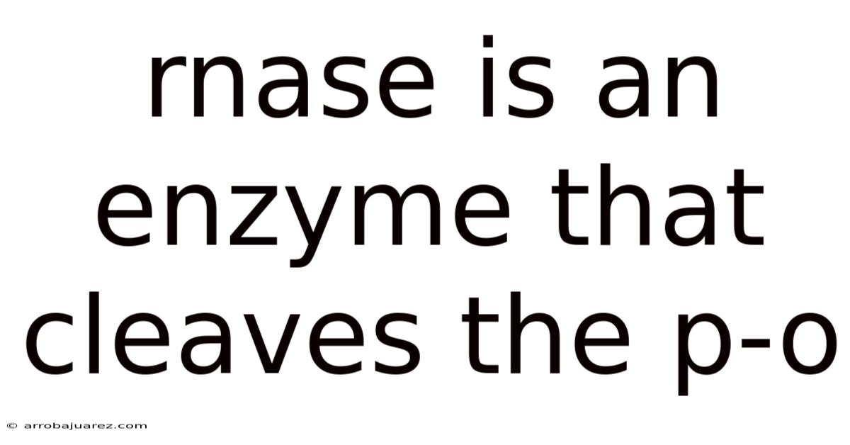 Rnase Is An Enzyme That Cleaves The P-o