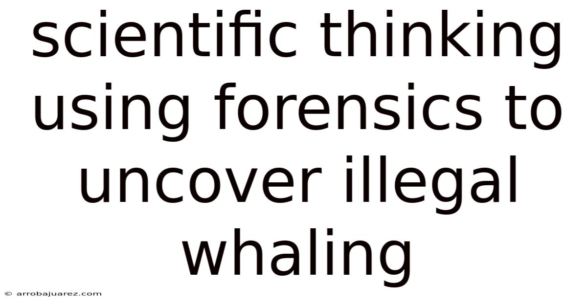 Scientific Thinking Using Forensics To Uncover Illegal Whaling