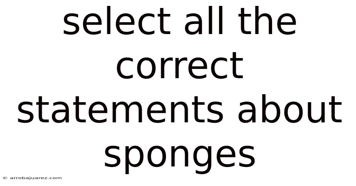 Select All The Correct Statements About Sponges