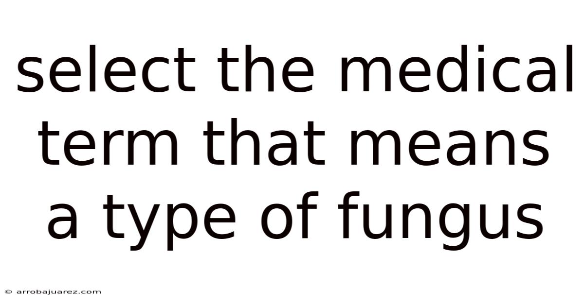 Select The Medical Term That Means A Type Of Fungus