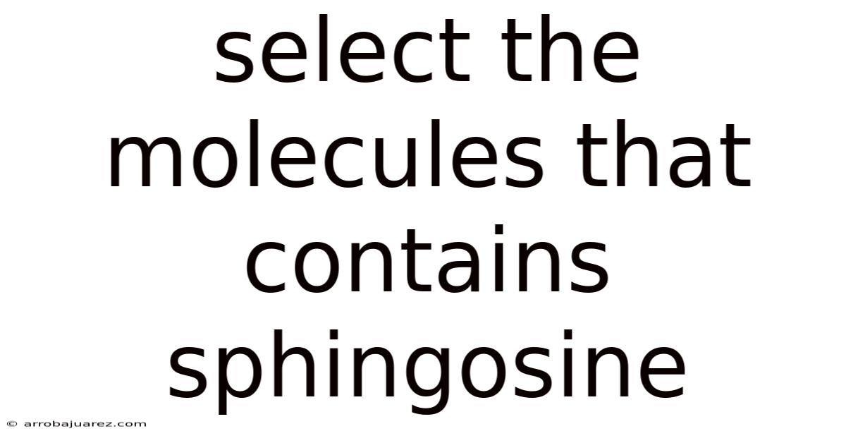 Select The Molecules That Contains Sphingosine