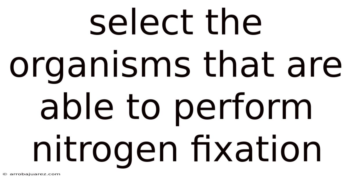 Select The Organisms That Are Able To Perform Nitrogen Fixation