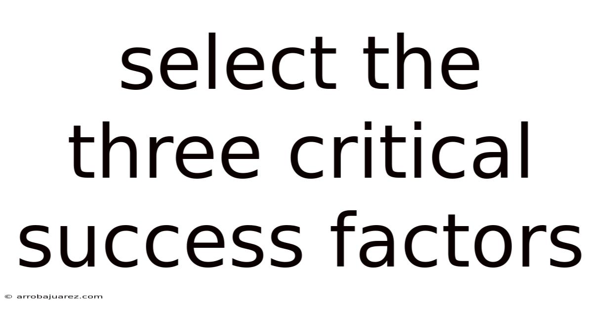 Select The Three Critical Success Factors