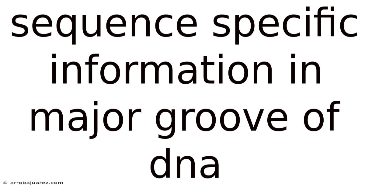 Sequence Specific Information In Major Groove Of Dna