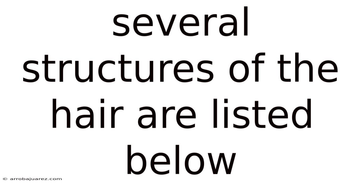 Several Structures Of The Hair Are Listed Below