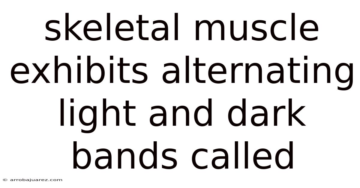 Skeletal Muscle Exhibits Alternating Light And Dark Bands Called