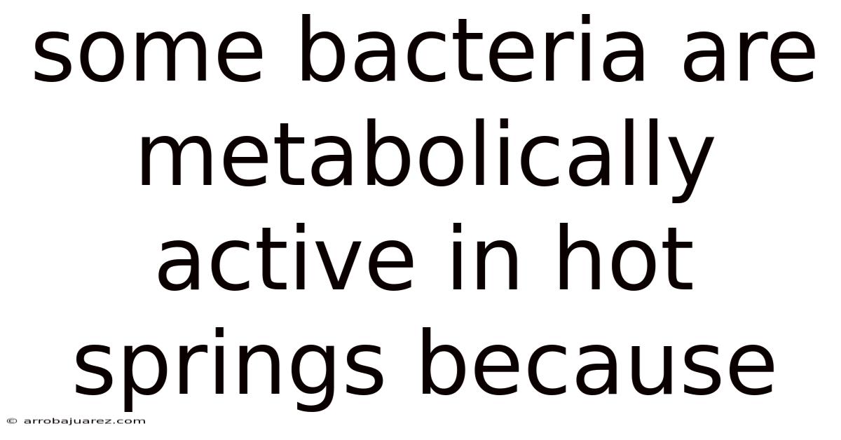 Some Bacteria Are Metabolically Active In Hot Springs Because