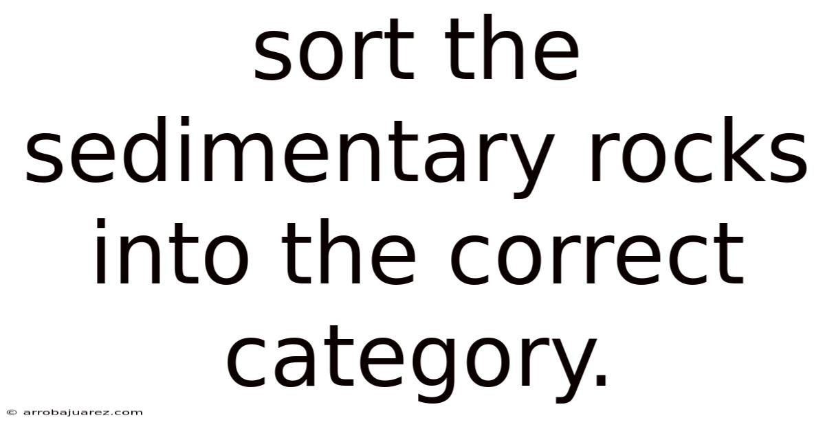 Sort The Sedimentary Rocks Into The Correct Category.