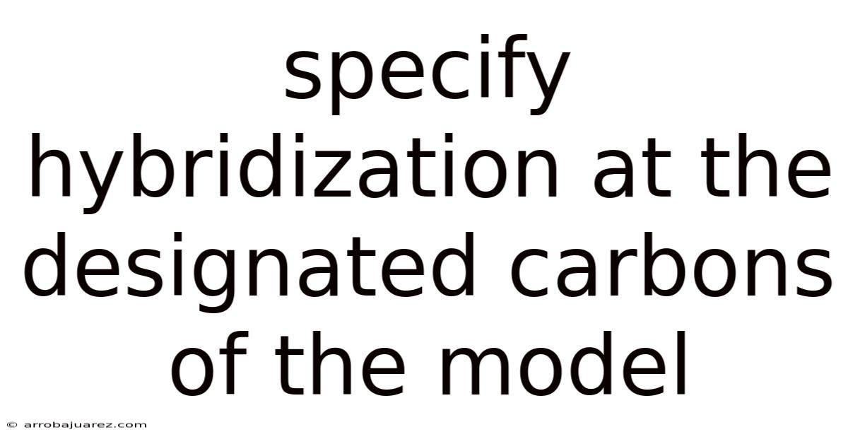 Specify Hybridization At The Designated Carbons Of The Model