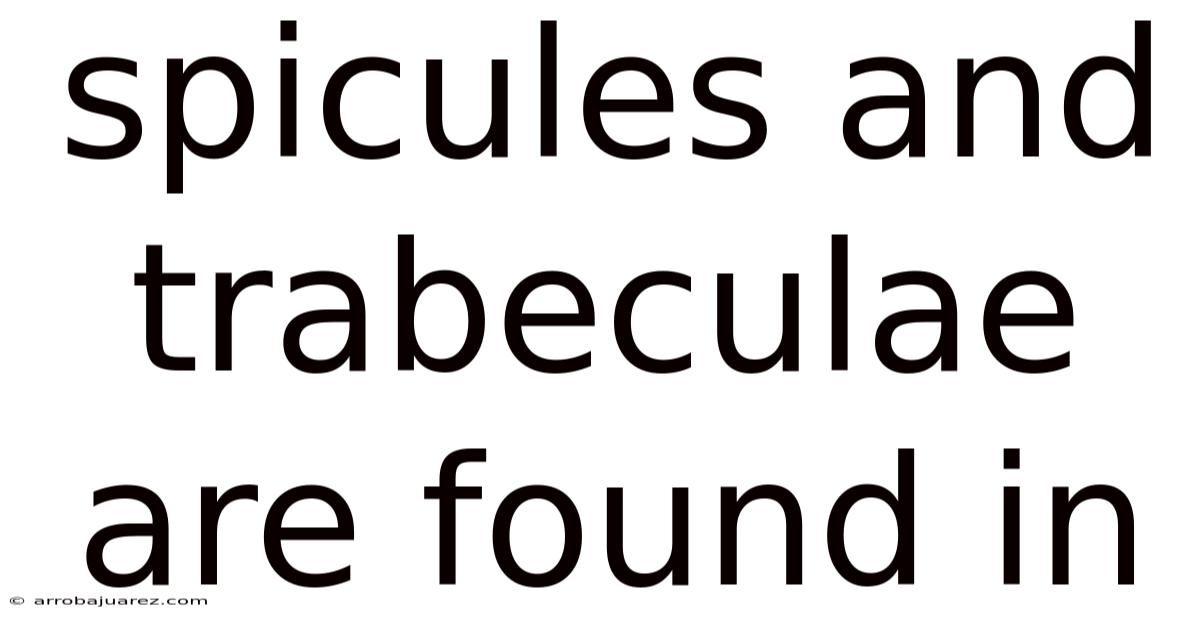 Spicules And Trabeculae Are Found In
