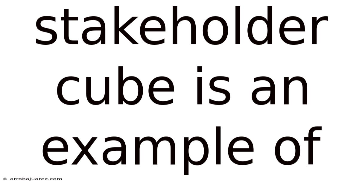 Stakeholder Cube Is An Example Of