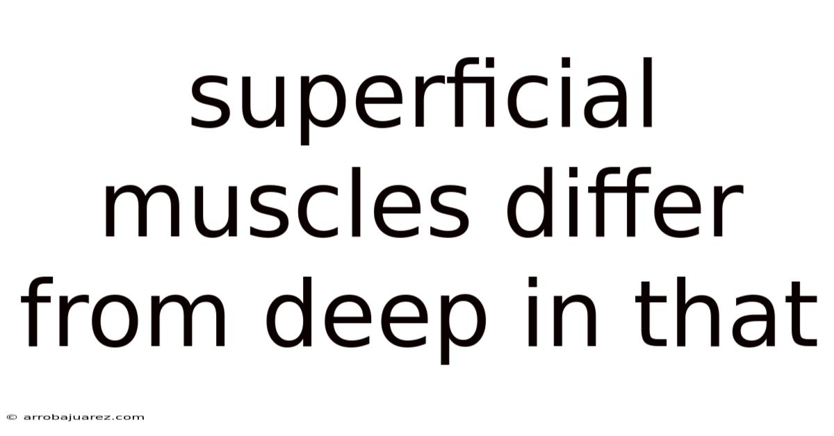 Superficial Muscles Differ From Deep In That