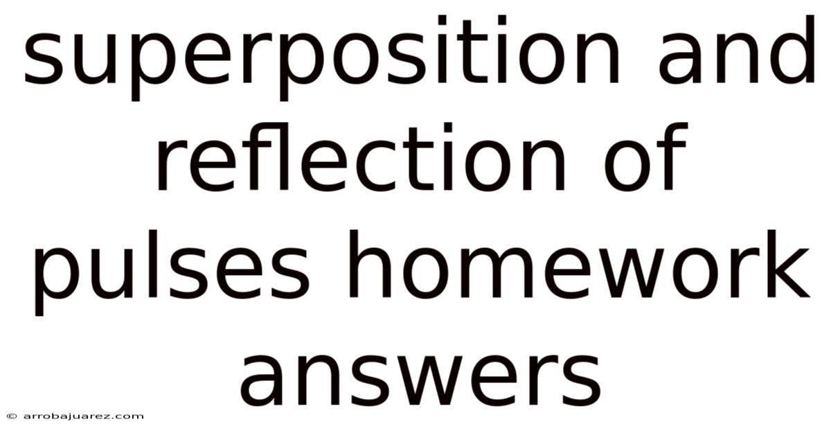 Superposition And Reflection Of Pulses Homework Answers