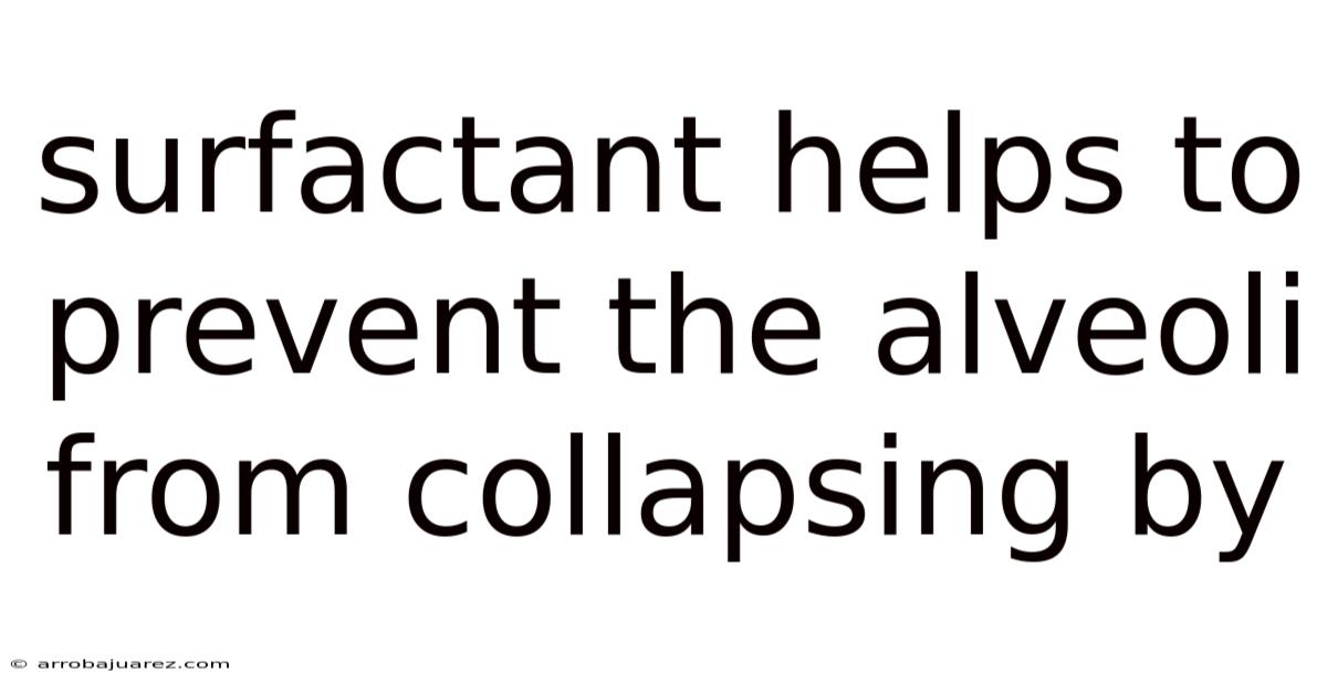 Surfactant Helps To Prevent The Alveoli From Collapsing By