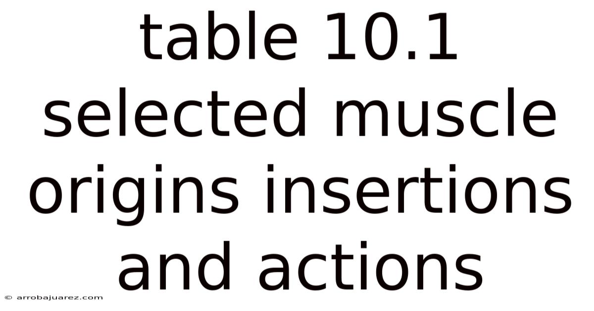 Table 10.1 Selected Muscle Origins Insertions And Actions