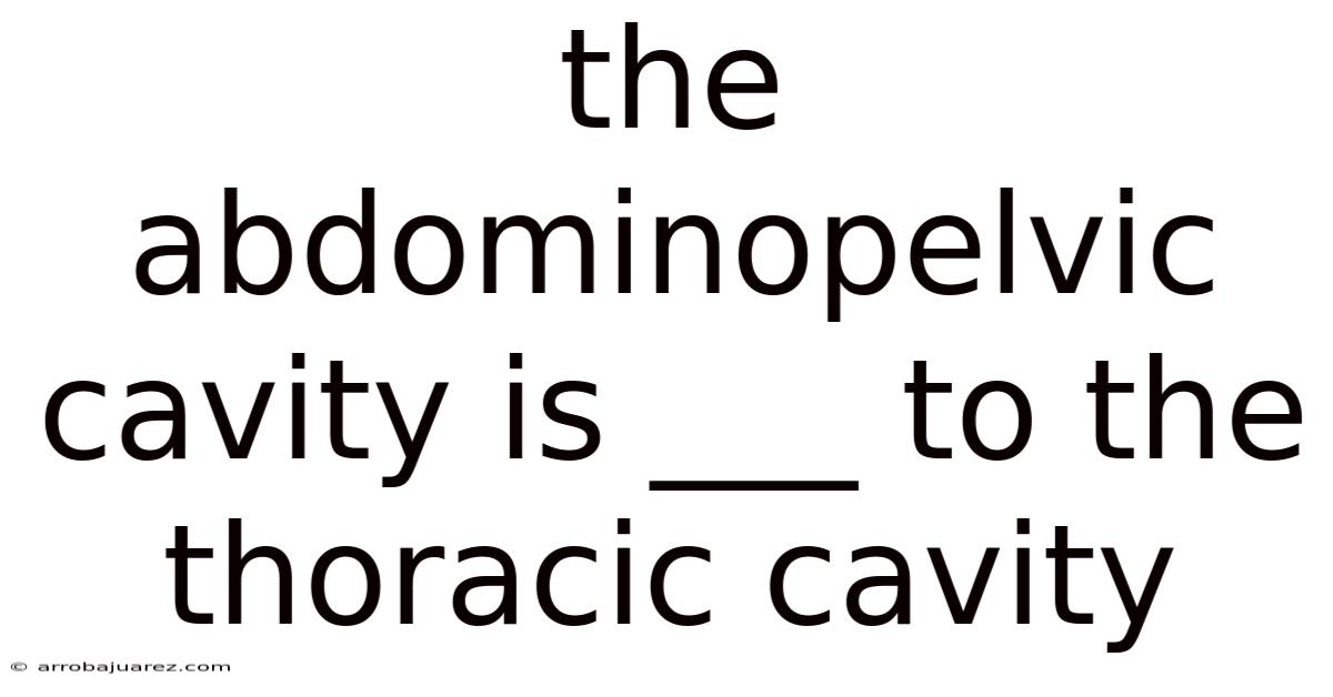 The Abdominopelvic Cavity Is ___ To The Thoracic Cavity