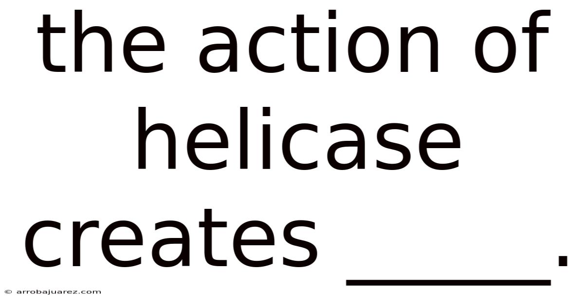 The Action Of Helicase Creates _____.