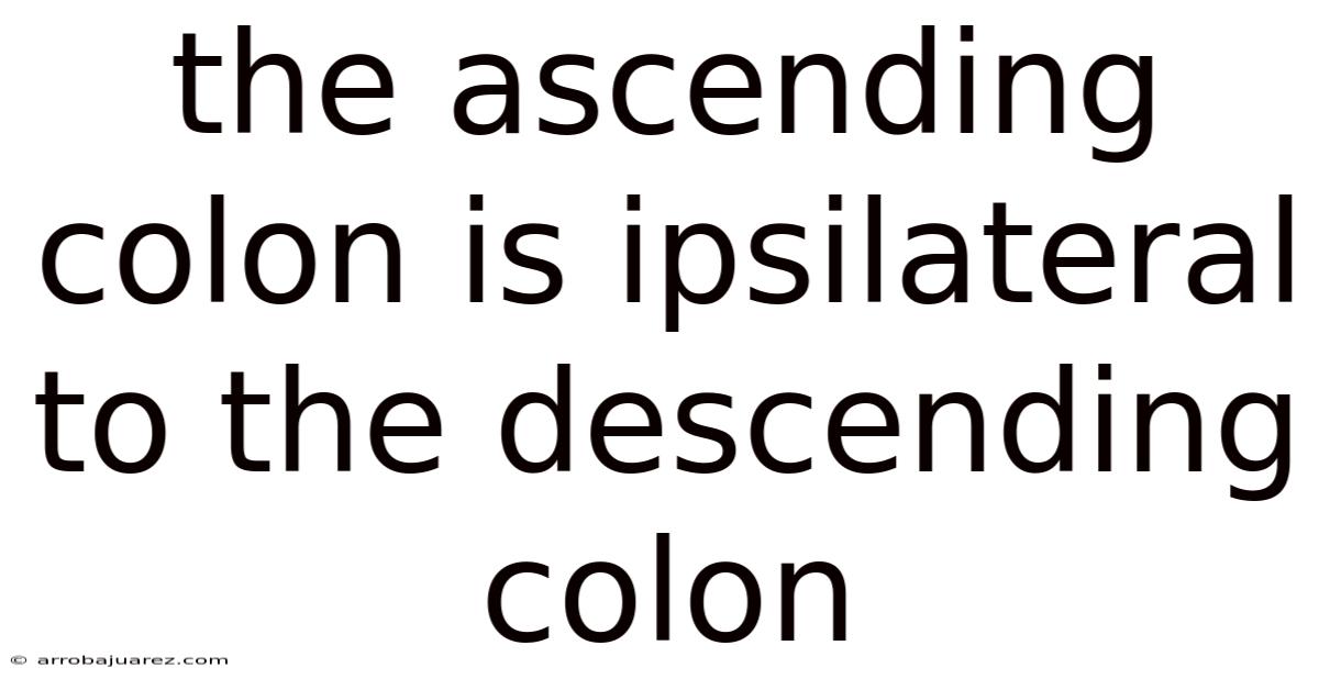 The Ascending Colon Is Ipsilateral To The Descending Colon