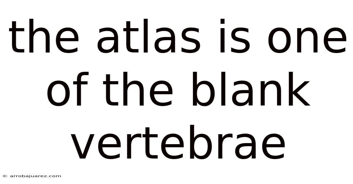 The Atlas Is One Of The Blank Vertebrae