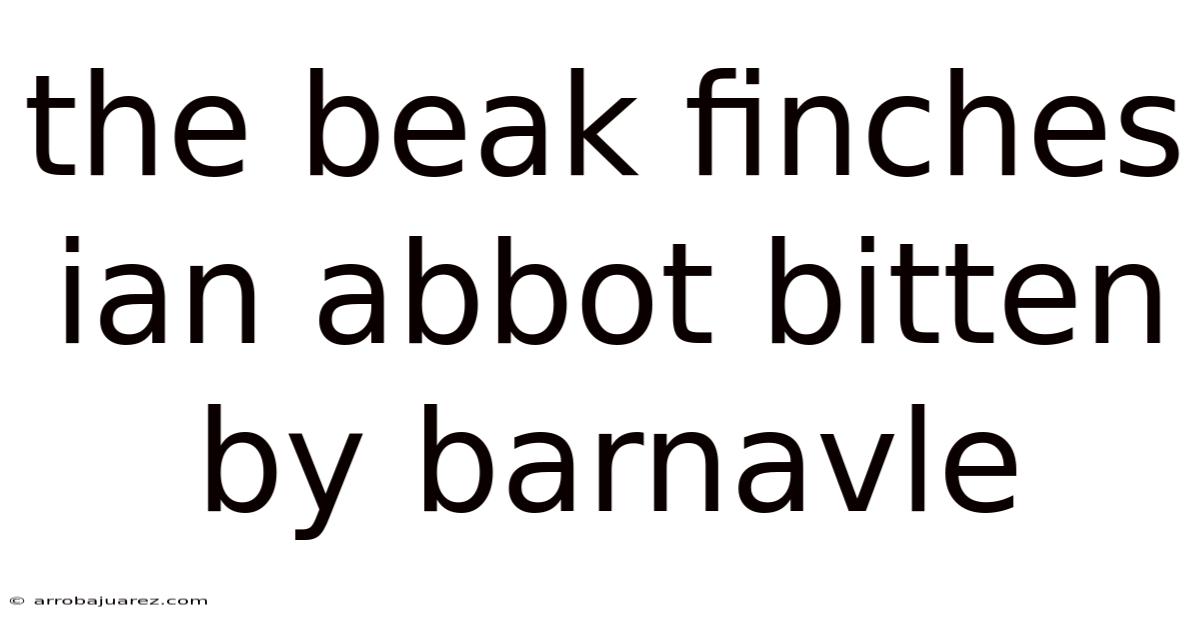 The Beak Finches Ian Abbot Bitten By Barnavle