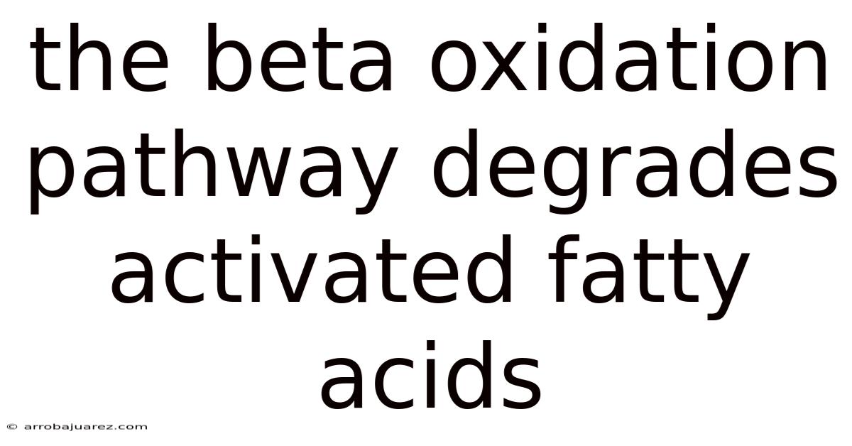 The Beta Oxidation Pathway Degrades Activated Fatty Acids