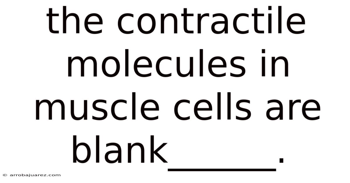 The Contractile Molecules In Muscle Cells Are Blank______.