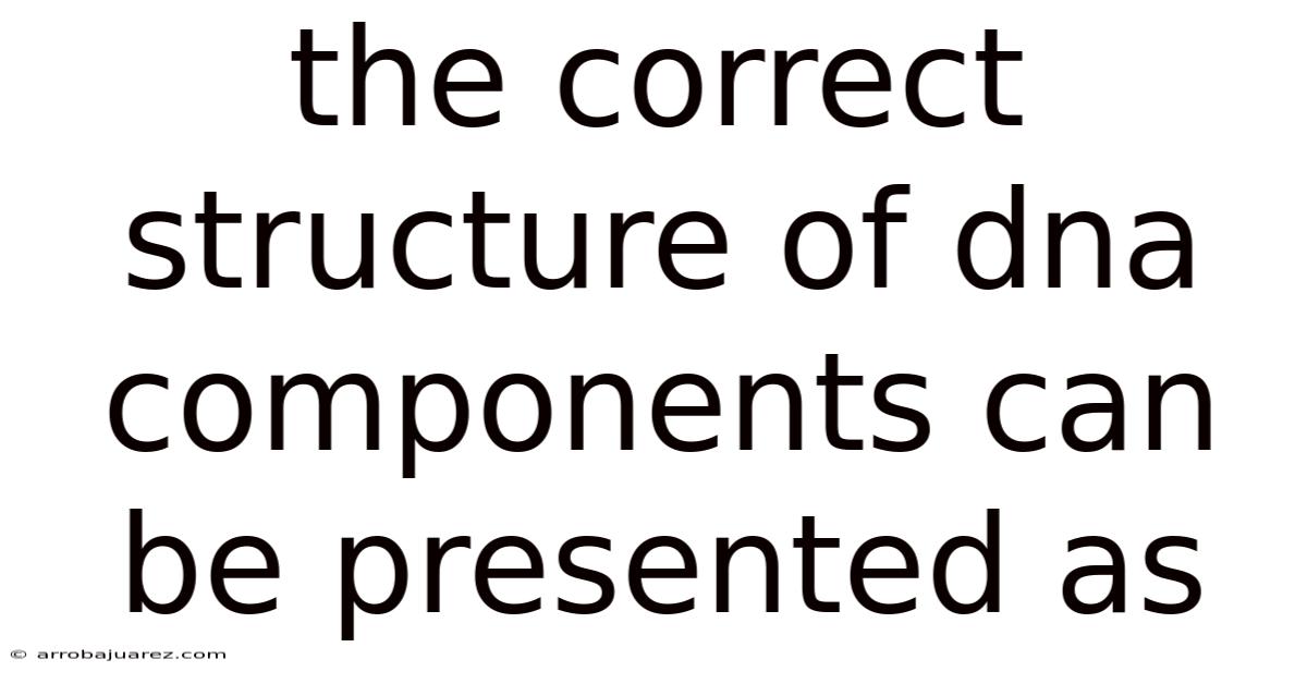 The Correct Structure Of Dna Components Can Be Presented As
